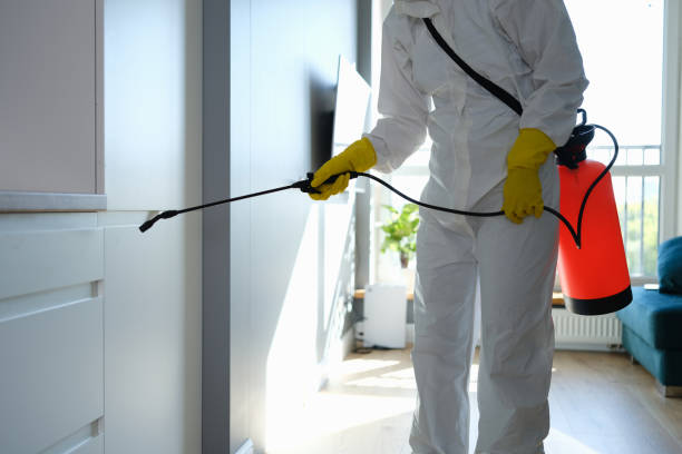 Best Mold Remediation Experts  in Savage, MD