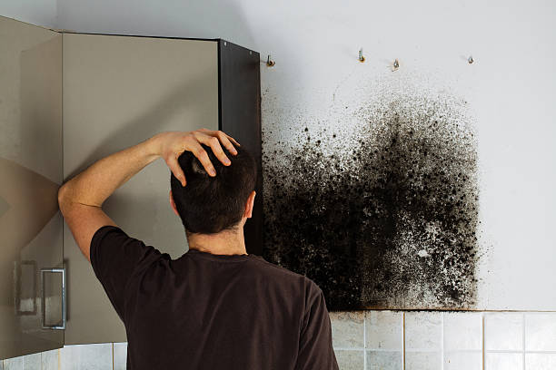 Best Attic Mold Removal  in Savage, MD